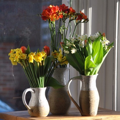 Jericho Studio Pottery Jugs