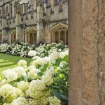 Magdalen College Annabelles