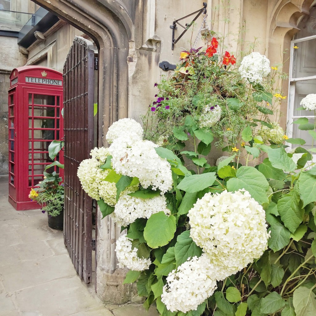 Magdalen College Annabelles