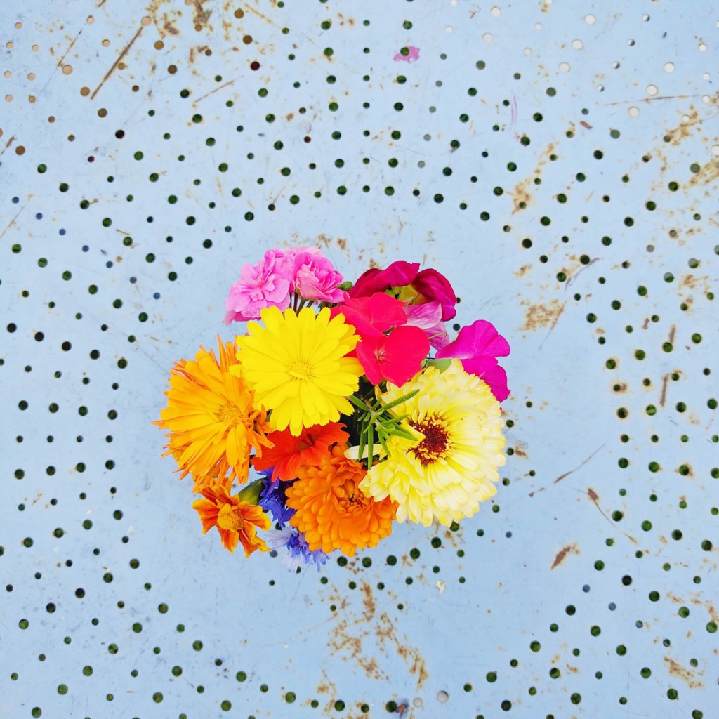 The Potting Shed Cafe