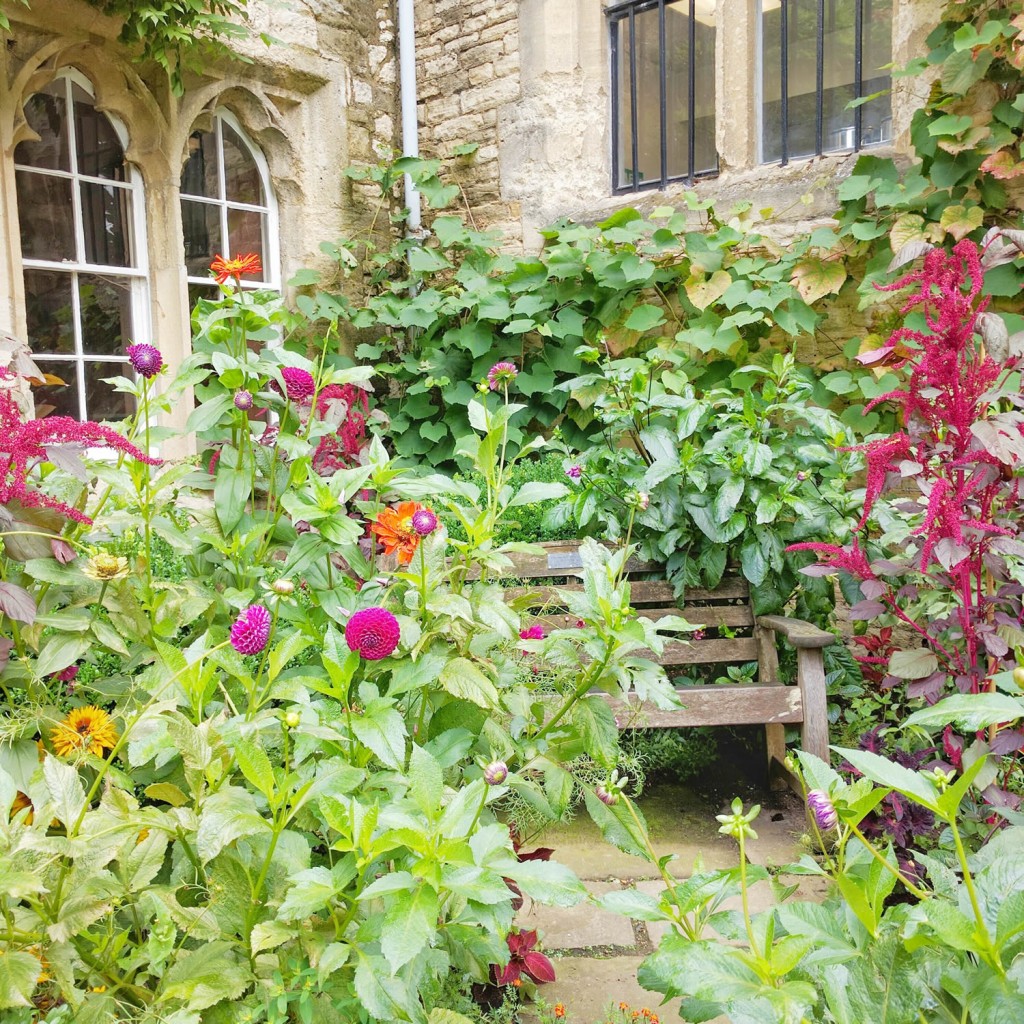 worcester-college-boarder