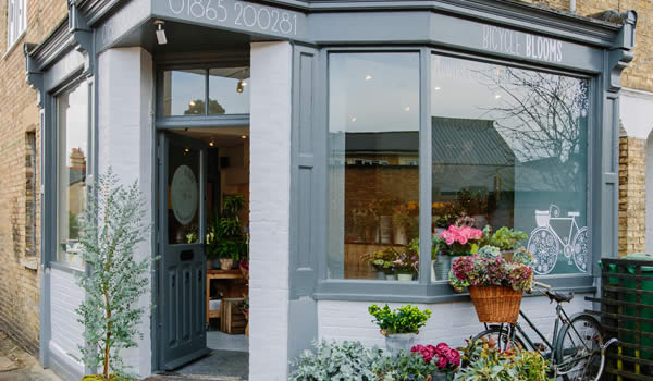 Bicycle Blooms oxford