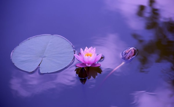 Be In Art Yoga Retreat Oxford