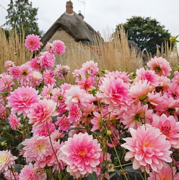 Aston Pottery Oxfordshire