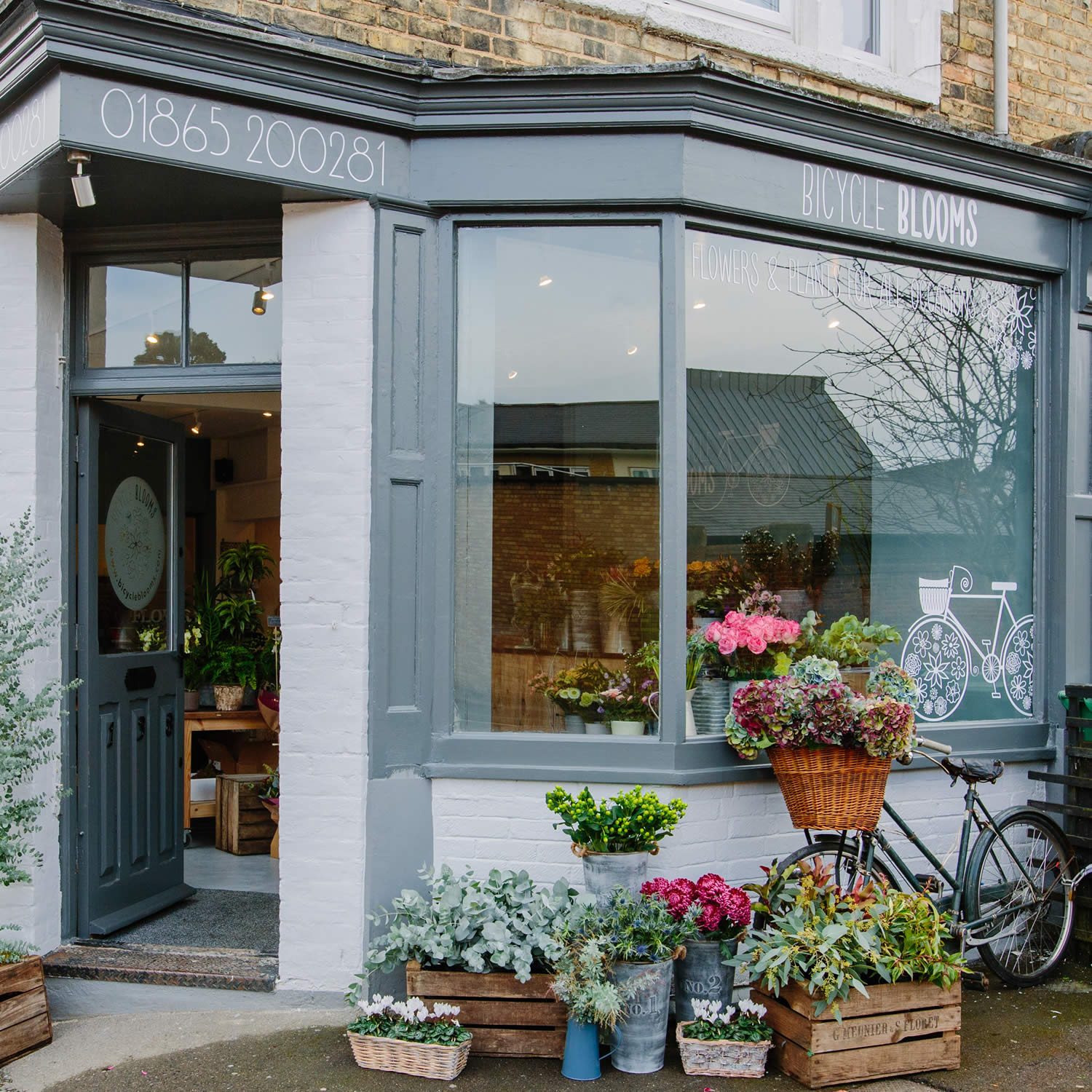 Bicycle Blooms Oxford
