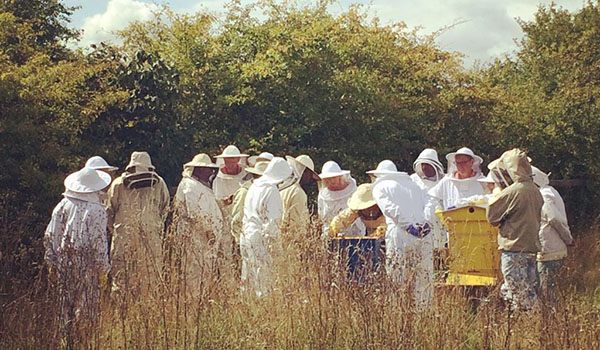 Warborough Honey