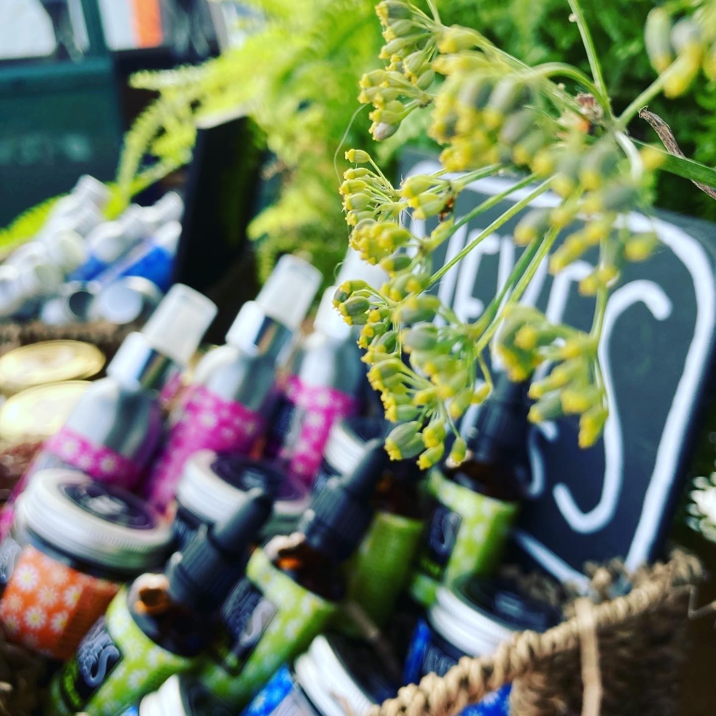 Neve's Bees Oxfordshire