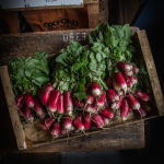 2 North Parade Oxford Radishes