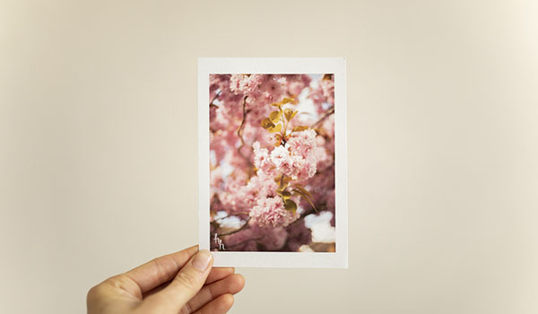 Hello Hann Photography Oxford