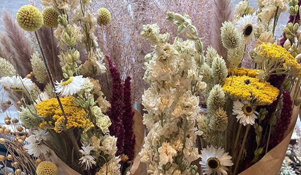 Indigo Oxford dried flowers