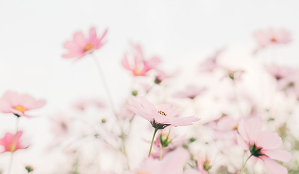 Mindfulness in Oxford Mindfulness in Oxford