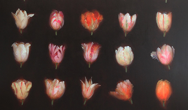 Fletcher Prentice tulips
