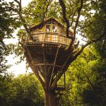 the Treehouse Festival Oxfordshire
