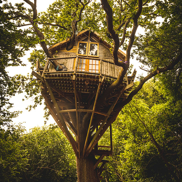 the Treehouse Festival Oxfordshire