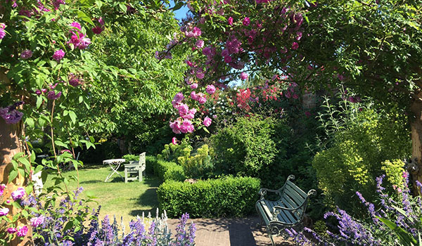 Wandering to Wonder abingdon