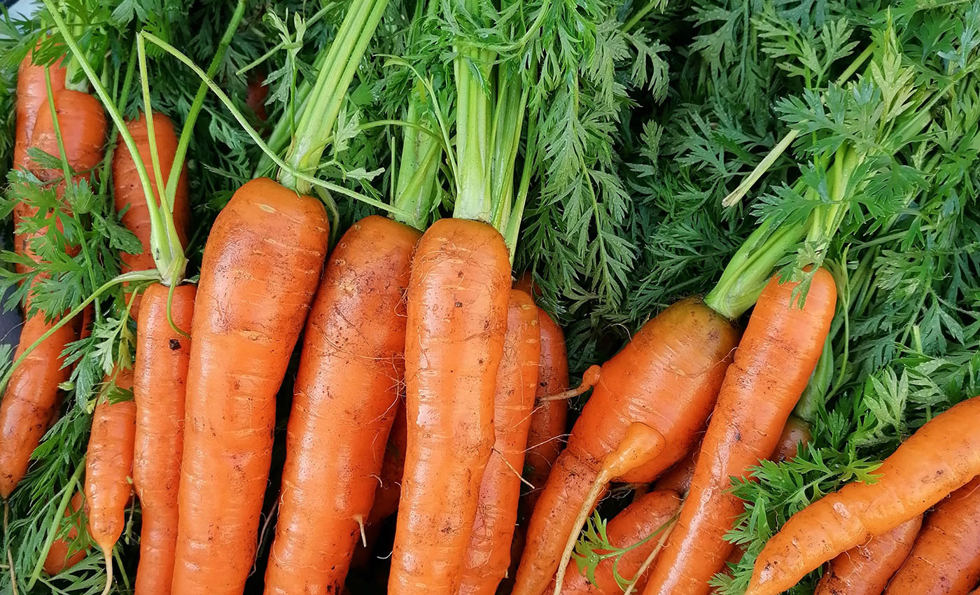 2 North Parade Oxford