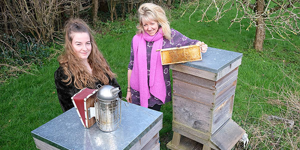 Neve's Bees