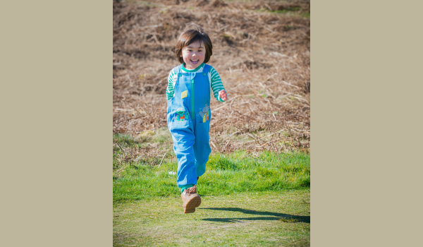 more-moor-ducky-zebra-collection