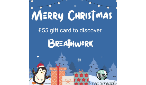 VIVA Breath Breathe Better Stress Less - breathwork workshop